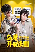 《乌龙升职法则》封面