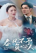 《春风不予负心人》封面