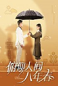 《俯仰人间八年春》封面