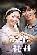 《次第花开》封面