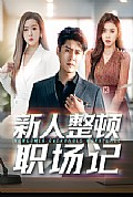 《新人整顿职场记》封面
