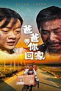 《爸爸带你回家》封面