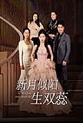 《新月似阳生双蕊》封面