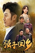 《强子回乡》封面