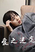 《爱之迷途》封面