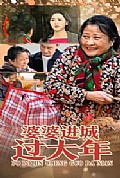 《婆婆进城过大年》封面