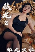 《藏龙2银龙出水》封面