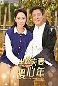《半路夫妻暖心年》封面