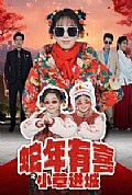 《蛇年有喜之小草进城》封面