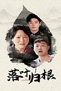 《落叶归根短剧》封面