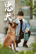 《忠犬短剧》封面
