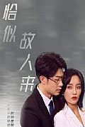 《恰似故人来》封面