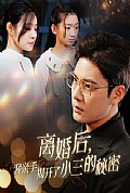 《离婚后我亲手揭开了小三的秘密》封面