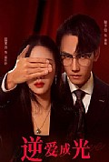 《逆爱成光》封面