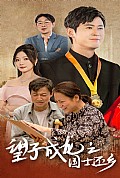《望子成龙之国士还乡》封面
