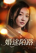 《婚途陌路》封面