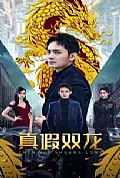 《真假双龙》封面