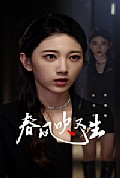 《新版：春风吹又生》封面