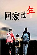 《回家过年》封面