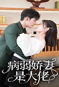 《病弱娇妻是大佬》封面