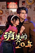 《消失的20年》封面