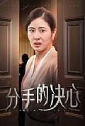 《分手的决心短剧》封面