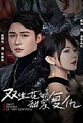 《双生花的甜蜜复仇(第一人称复仇》封面