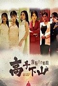 《高手下山，我有六个姐姐》封面