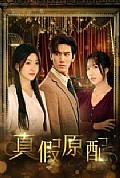 《真假原配》封面