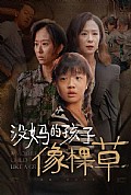 《没妈的孩子像棵草》封面