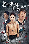 《老年婚姻过不好离不了》封面