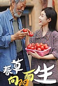 《春草向阳而生》封面