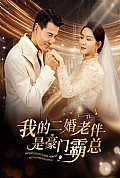 《我的二婚老伴是豪门霸总》封面
