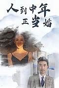 《人到中年正当婚》封面
