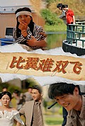 《比翼难双飞》封面