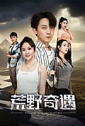 《荒野奇遇》封面