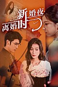 《新婚夜，离婚时》封面