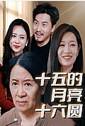 《十五的月亮十六圆31集》封面
