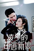 《凌少的在逃新娘》封面