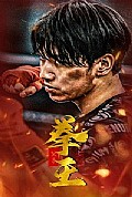 《父子拳王》封面
