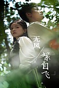 《无风絮自飞》封面