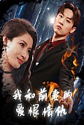 《我和前妻的爱恨情仇》封面