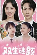 《双生谜题》封面