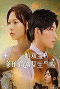 《一胎双宝爹地妈咪又生气啦》封面