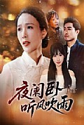 《夜阑卧听风吹雨》封面
