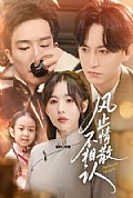 《风止情散不相认》封面