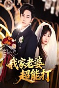 《我家老婆超能打》封面