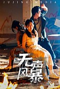《无声风暴》封面