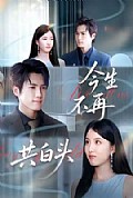 《今生不再共白头》封面