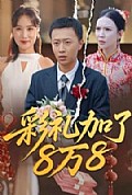 《彩礼加了8万8》封面